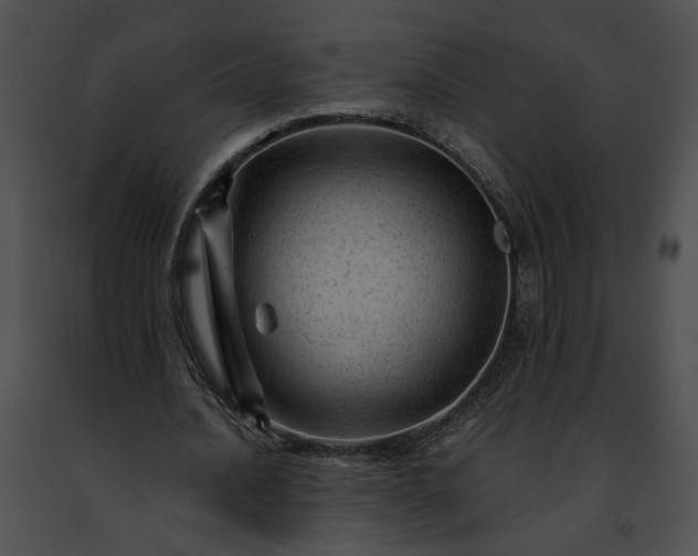 X0000091470628200708301854