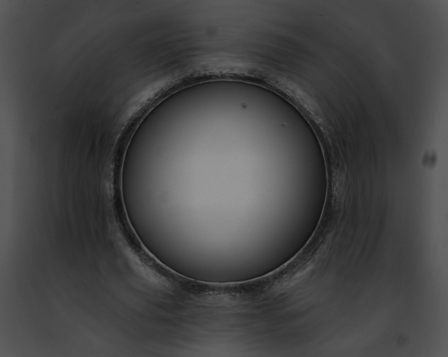 X0000091470629200708301854