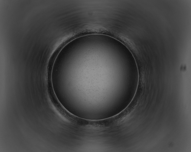 X0000091470630200708301854