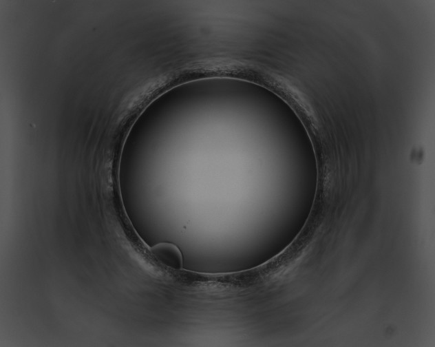 X0000091470633200708301854