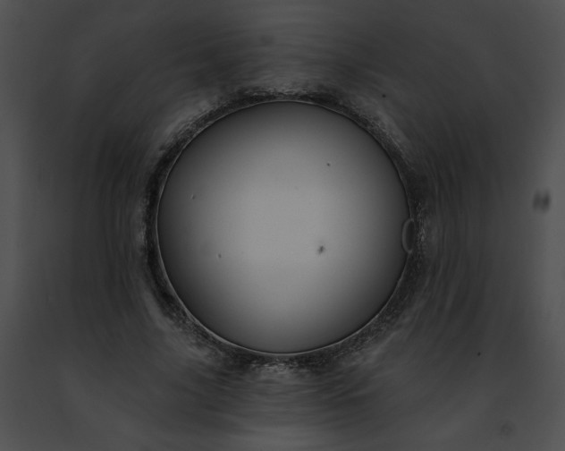 X0000091470635200708301854