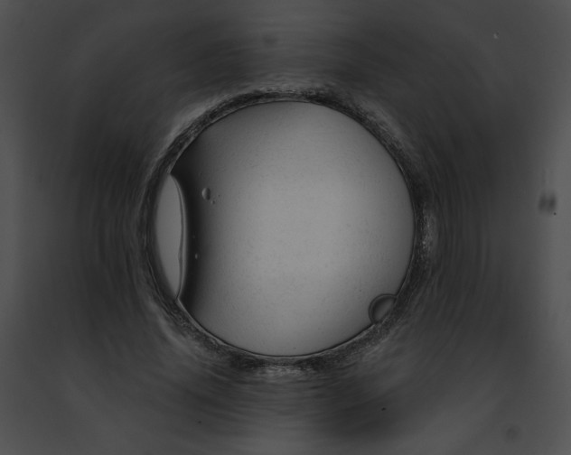 X0000091470636200708301854