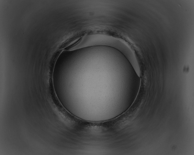 X0000091470637200708301854