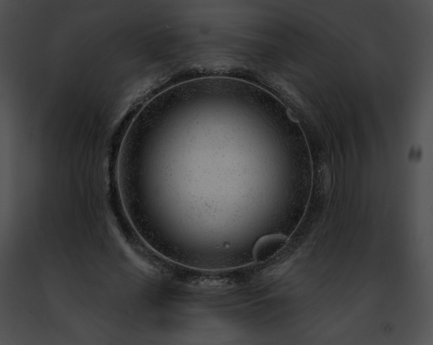 X0000091470638200708301854