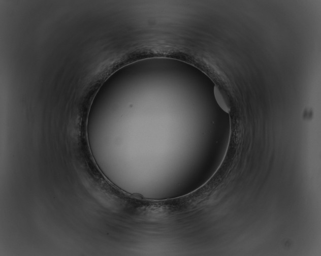 X0000091470639200708301854