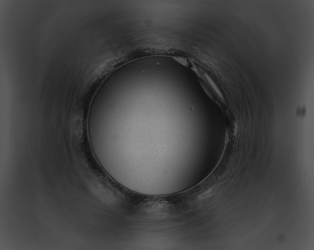 X0000091470642200708301854