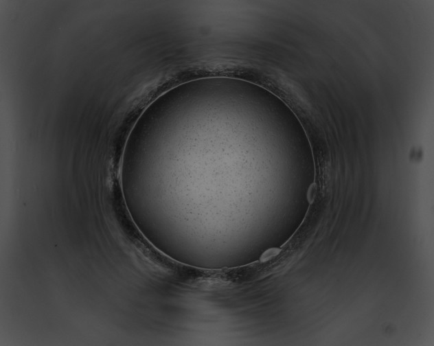 X0000091470644200708301854