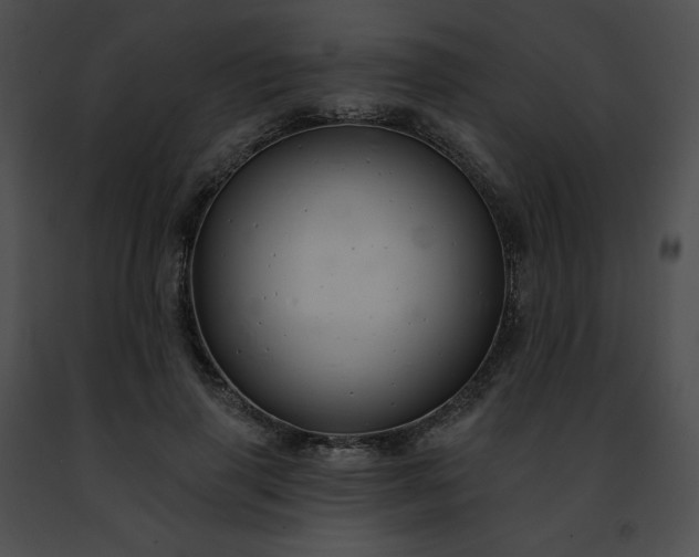 X0000091470645200708301854