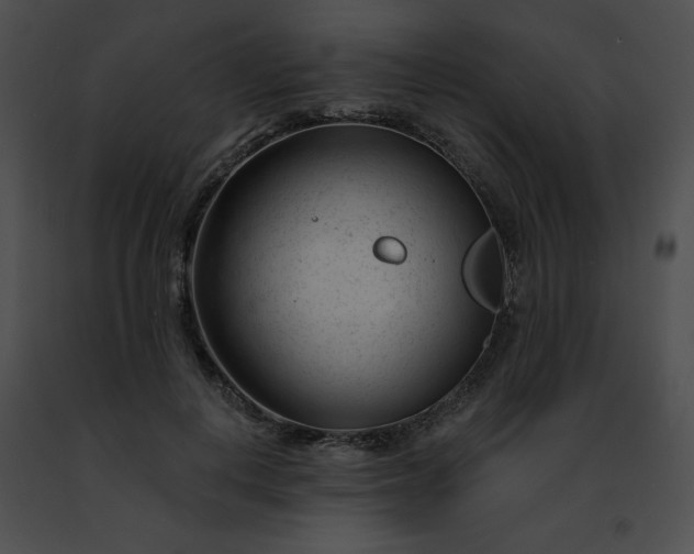 X0000091470648200708301854