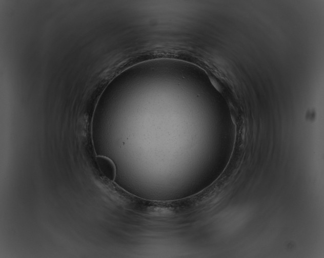 X0000091470649200708301854