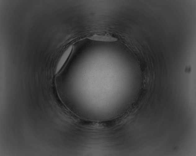 X0000091470656200708301854