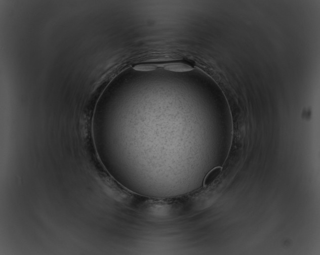 X0000091470658200708301854