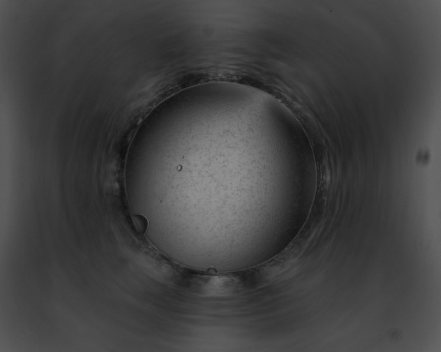 X0000091470663200708301854