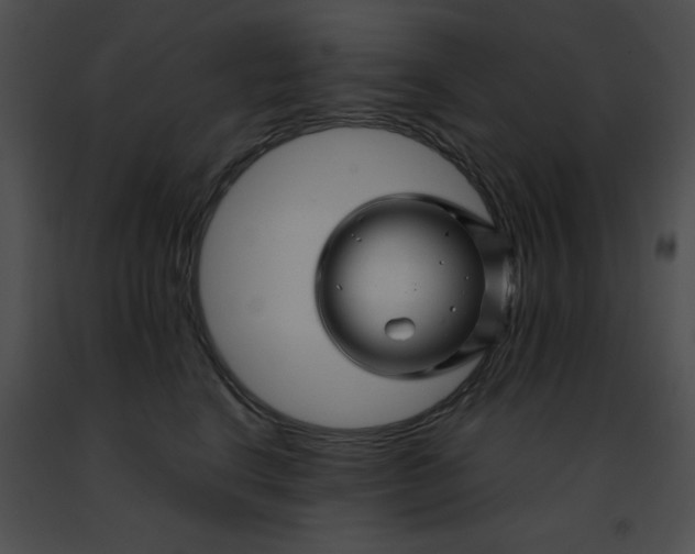 X0000091470664200708301854