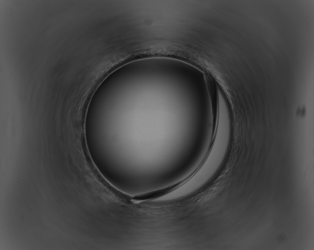 X0000091470673200708301854