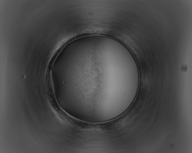 X0000091470674200708301854