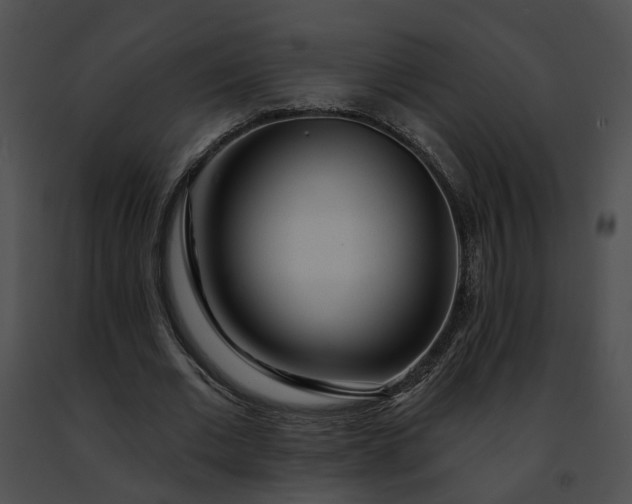 X0000091470677200708301854