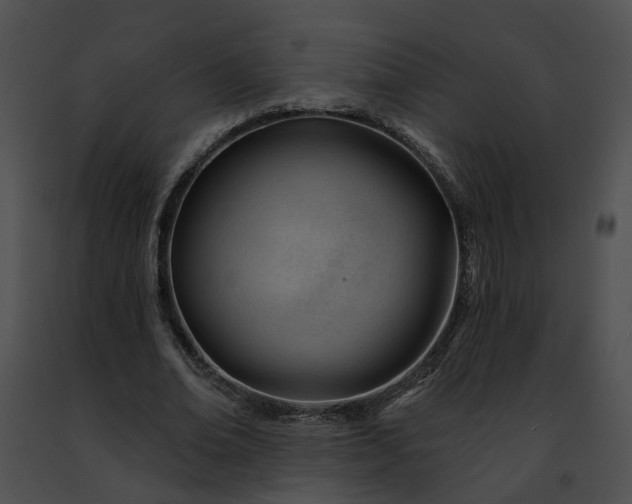 X0000091470678200708301854