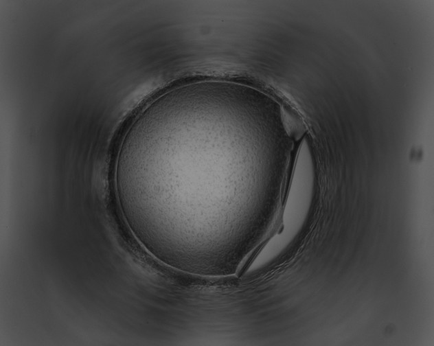 X0000091470679200708301854