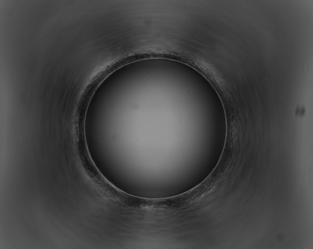 X0000091470680200708301854