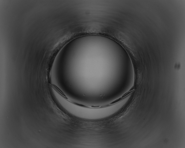 X0000091470681200708301854