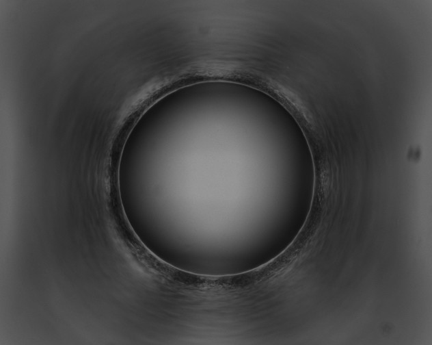 X0000091470682200708301854