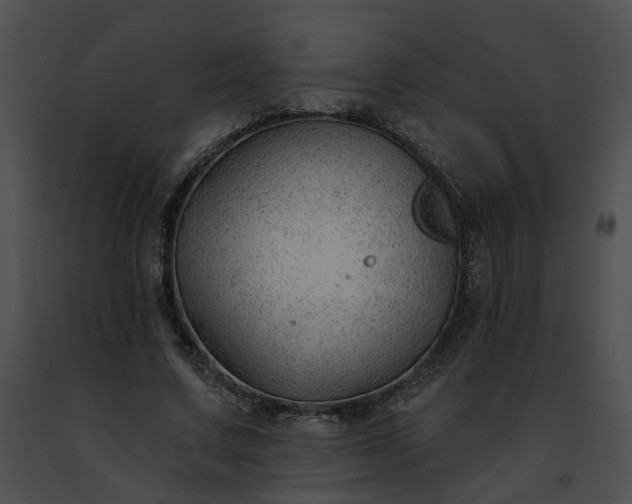 X0000091470683200708301854