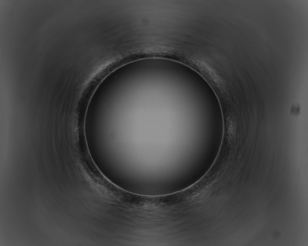 X0000091470684200708301854