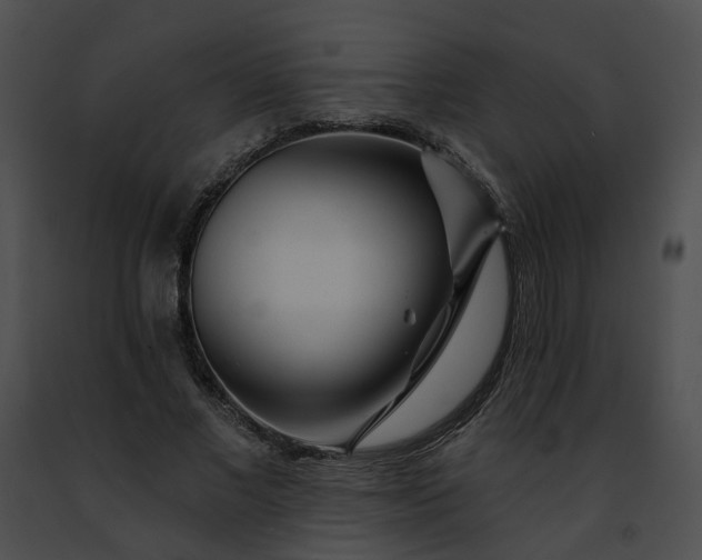 X0000091470685200708301853