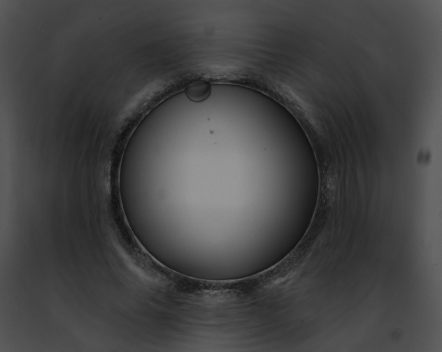 X0000091470686200708301853