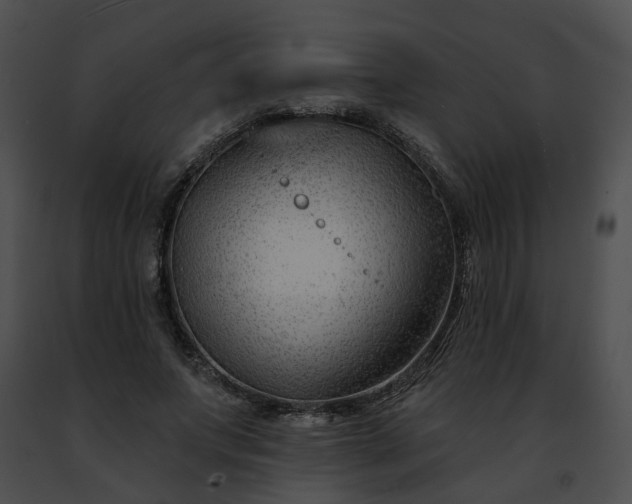 X0000091470687200708301853