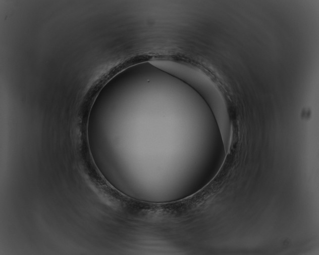 X0000091470688200708301853