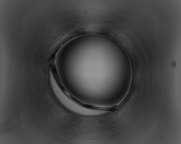 X0000091470689200708301853