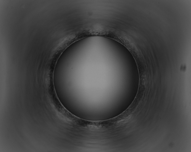 X0000091470690200708301853