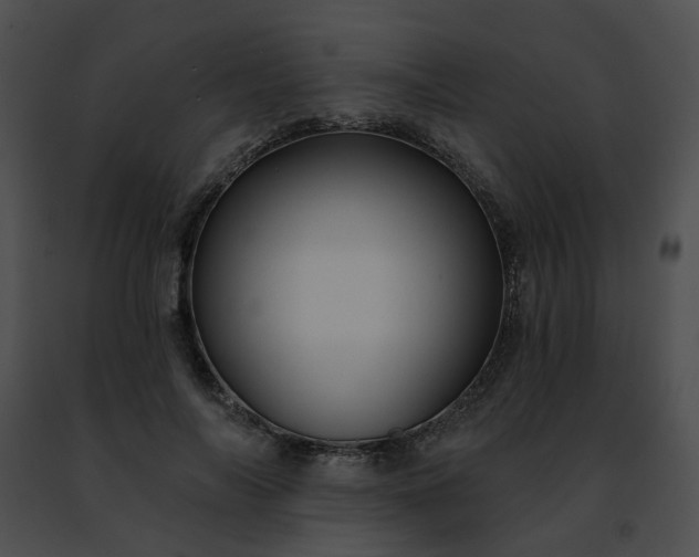 X0000091470694200708301853