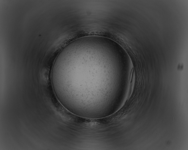 X0000091470695200708301853