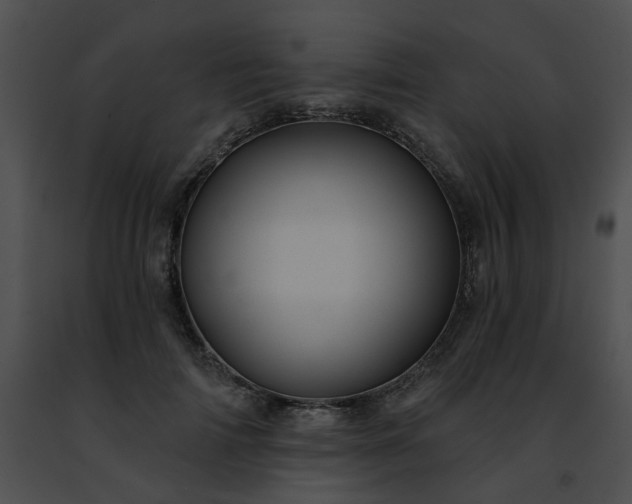 X0000091470698200708301853