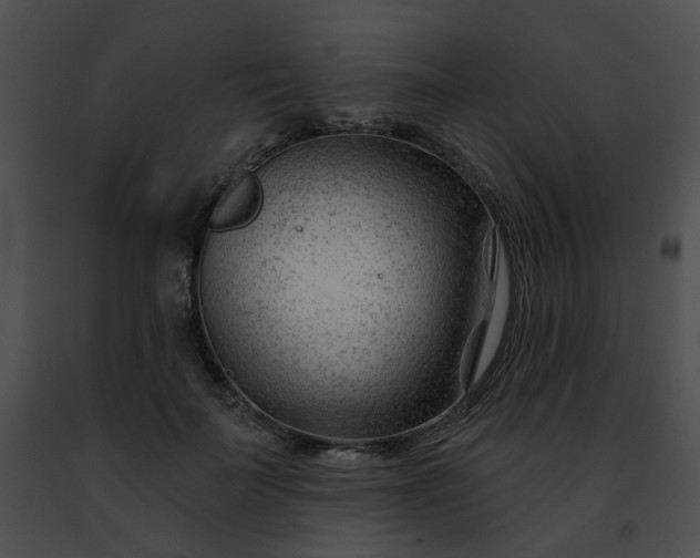 X0000091470699200708301853