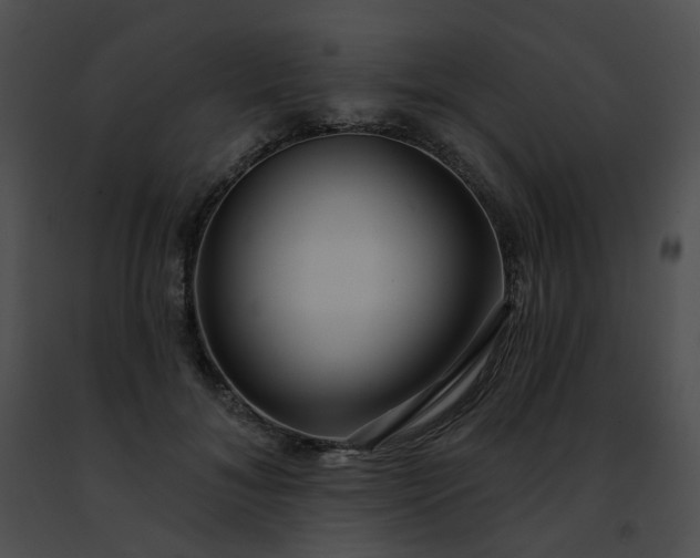 X0000091470700200708301853