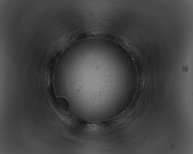 X0000091470703200708301853