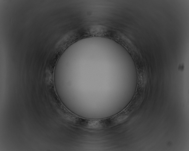 X0000091470705200708301853