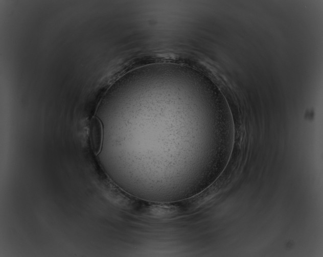 X0000091470707200708301853