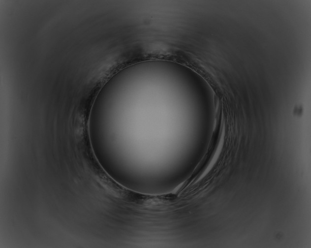 X0000091470708200708301853