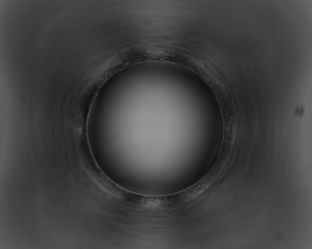 X0000091470710200708301853