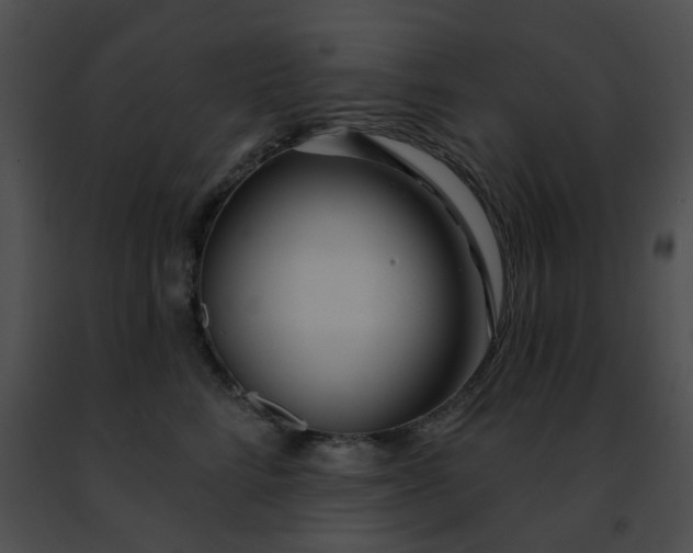 X0000091470712200708301853