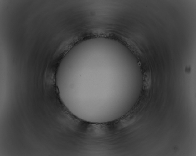 X0000091470713200708301853