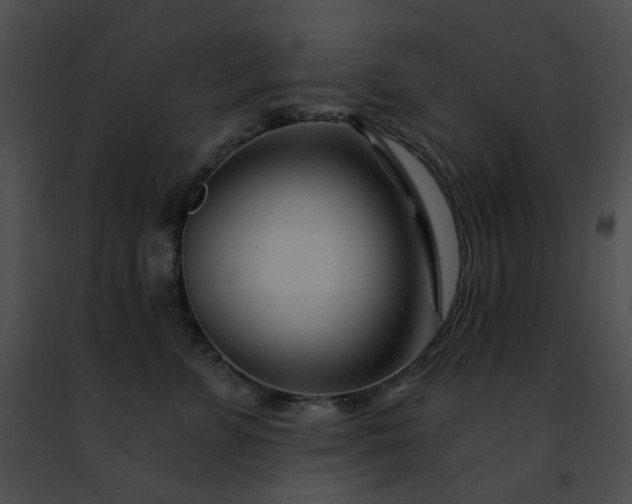 X0000091470715200708301853