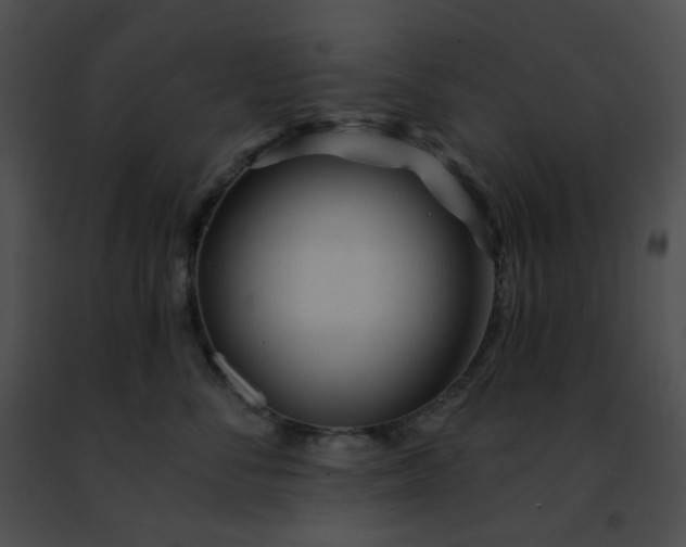 X0000091470716200708301853