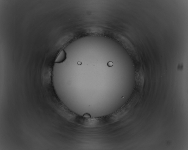 X0000091470717200708301853