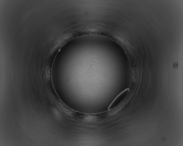 X0000091470718200708301853